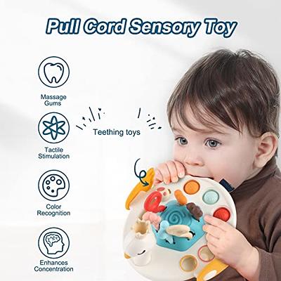 LZZAPJ Sensory Toys for Toddlers 1-3, Montessori Toys for 1 Year Old,  Infant Swan Pull String Car Seat Toys for Travel, Teething Toys for Babies  6-12 Months First Birthday Gift for Baby. - Yahoo Shopping