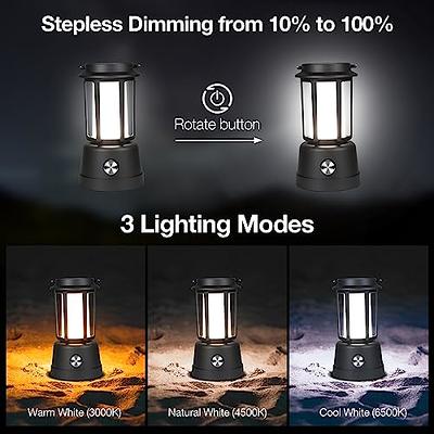 Camping Lantern Rechargeable, Dimmable LED Vintage Lanterns