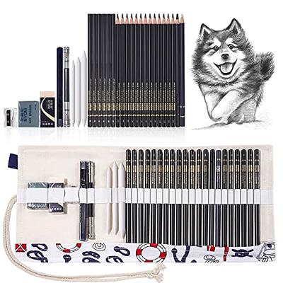 33-Piece Sketching Art Set by Glokers, Shading, Sketching & Drawing, 100  Sheet Sketch Pad, Eraser, Smudging Stump, Tortillon Drawing Tool, Sandpaper  Block and More 