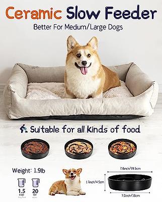 Large Non-slip Puzzle Dog Bowl - Slow Feeder For Medium & Large