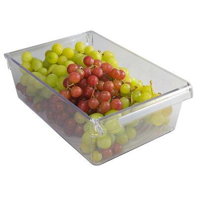 Storage Organizer Plastic Bin Rebrilliant