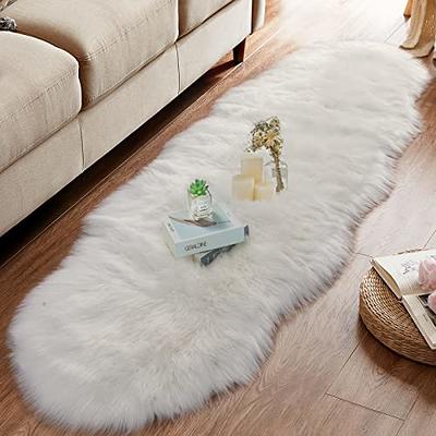 TABAYON Shaggy Grey Rug, 2x3 Area Rugs for Living Room, Anti-Skid Extra  Comfy Fluffy Floor Carpet for Indoor Home Decorative