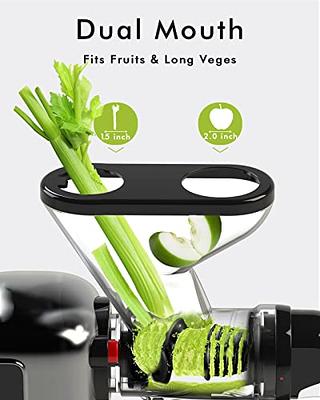 SiFENE Vertical Cold Press Juicer, Slow Masticating Juicer Machine, Juice  Maker