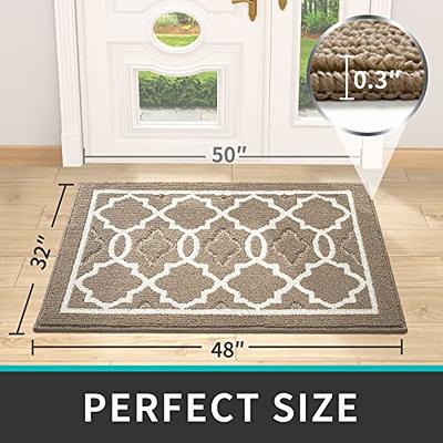 DEXI Doormat Entry Door Mat Indoor Rug Non Slip Soft Mats for Entrance –  Dexi