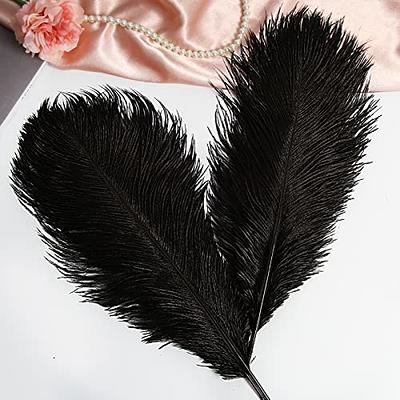 10 Pcs Natural Black Ostrich Feathers 14-16 Inch(35-40 Cm) Bulk for DIY  Hallowee