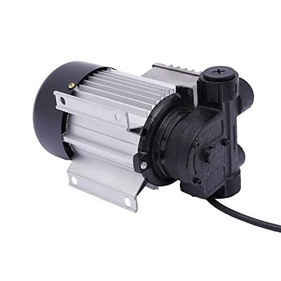 110V AC Self Priming Electric Fuel Transfer Pump Oil Fuel Diesel