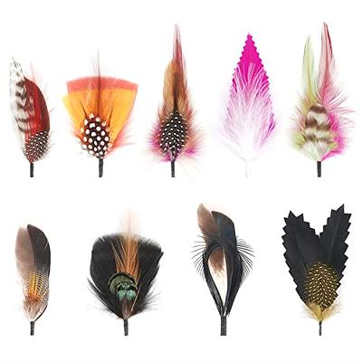 Hat Feathers 9 Pcs Assorted Natural Feather Packs Accessories for Fedora  Cowboy Open Road Borges Scott