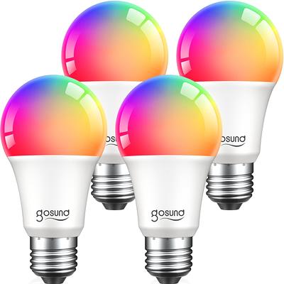 Basics Smart A19 LED Light Bulb, 2.4 GHz Wi-Fi, 7.5W (Equivalent to  60W) 800LM, Works with Alexa Only, 1-Pack, Multicolor 