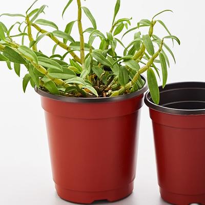 Agfabric 6 in. x 5.3 in. Plant Pots Small Plastic Plants Nursery Pot/Pots Plant Container Seed Starting Pots Red, (100-Pack), Brick Red