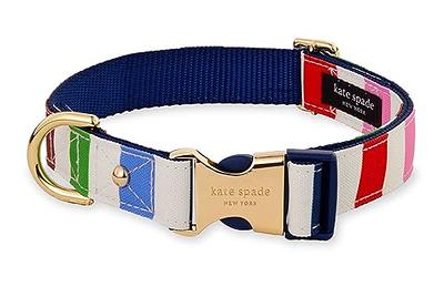 Solmoony Cute Dog Collar for Small Medium Large Dogs, Small Dog Collar for  Females and Male, Boy and Girl Dog Collars, Spring Dog Collar, Male and Female  Dog Collars. (S, Red) 