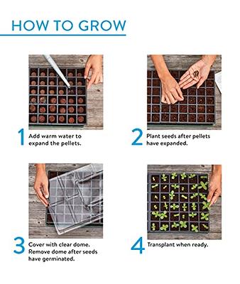 Burpee SuperSeed Pop-Out Reusable Seed Starting Tray, 36-Cell