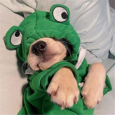  Funny Dog Hoodie, Dog Sweater Cute Apple Banana Frog Shape  Warm Jacket for Pet Fashion Cold Weather Wear Outfit Outerwear for Small  Medium Dogs Cats Green S : Pet Supplies