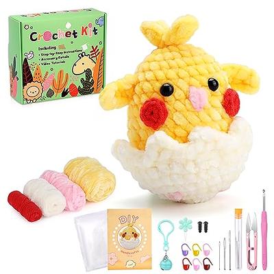  FECLOUD Crochet Knitting Kit for Beginners - 6Pcs