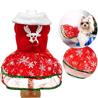 dogs in christmas outfits