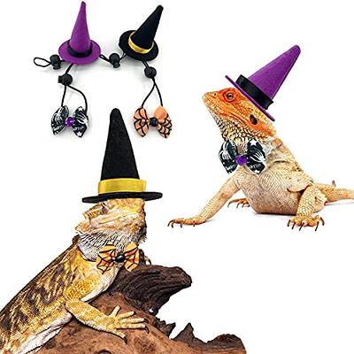 Vehomy 2 Sets Bearded Dragon Halloween Costume- Lizard Halloween Witch Hat  Hamster Halloween Hat Bearded Dragon Bowties Reptile Halloween Hat Bowtie  Costume for Hamster Lizard Bird Parrot 4pcs - Yahoo Shopping