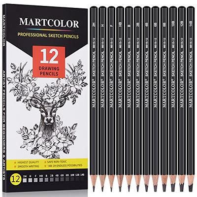 Professional Drawing Sketch Pencils Set of 12, Medium 8b - 2H, Ideal for Drawing