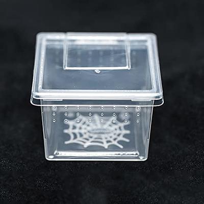  Jumping Spider Enclosure, Tarantula Enclosure Spider Terrarium  Snail Terrarium Jumping Spider Habitat Spider Cage Acrylic Reptile Breeding  Box Jumping Spider Enclosure with Dropper Tongs : Pet Supplies