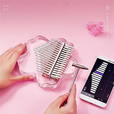 Kalimba Thumb Piano,YUNDIE Portable 17 Keys Mbira Finger Piano with Tune  Hammer and Study Instruction,Musical Instruments Birthday Gift for Kid  Adult