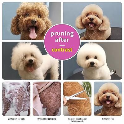 Pet Hair Remover Comb Practical Pet Facial Cleaning Brush for Small Dogs  Teddy