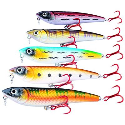 5pcs Fishing Lures Set with Box Hard Baits 3D Eyes Minnow Fishing Lures  Crank Swim Bait Fishing Tackle for Freshwater Saltwater/Topwater, Bass,  Trout, Walleye, Redfish (Lures Kit - A) - Yahoo Shopping