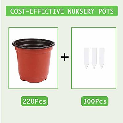 MIXC 30 Packs 4 Reinforced Clear Nursery Plant Pots with Silicone Base for  Easy Transplant, Transparent Plastic, Reusable Seedling Pots Seed Starter