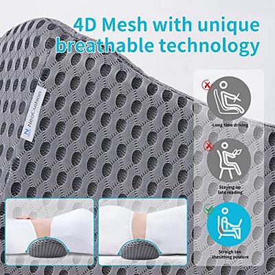 Lumbar Support Pillow,Memory Foam Back Support for Office Chair,Computer  Chair,Car Seat,Recliner and Couch with Breathable 3D Mesh Cover,Ergonomic