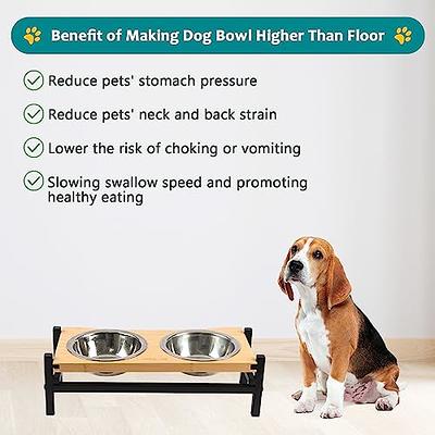 Elevated Dog Bowls for Small Dogs, Elevated Cat Bowls for Indoor