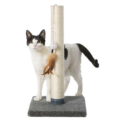 Whisker city cat tree clearance amazon