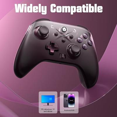  REDSTORM 2.4g Wireless Game Controller for Windows  PC,Android,Switch,Steam Deck, PC Gaming Controller with 4 Programmable  Buttons, Dual Vibration, Turbo, Motion Control, LED Light : Everything Else