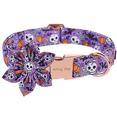 Personalized Dog Collar, Cartoon Pumpkin Dog Collar