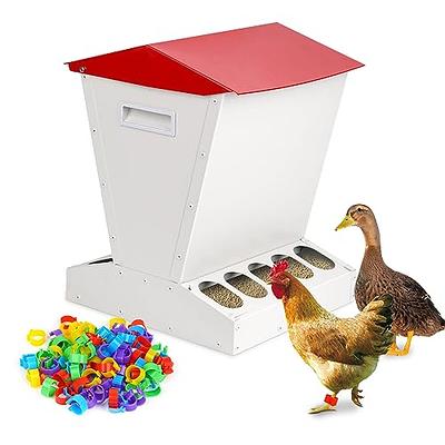 ZHEQOGZH Automatic Metal Chicken Feeder Galvanized Poultry Feeder with Lid  Outdoor Standing Chicken Food Dispenser Gravity Fed Chicken Feeder  Weatherproof No Waste Quail Duck Feeder (25LBS Two-Way) - Yahoo Shopping