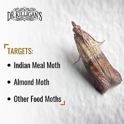 Dr. Killigan's Premium Clothing Moth Traps with Pheromones Prime |  Non-Toxic Clothes Moth Trap with Lure for Closets & Carpet | Moth Treatment  