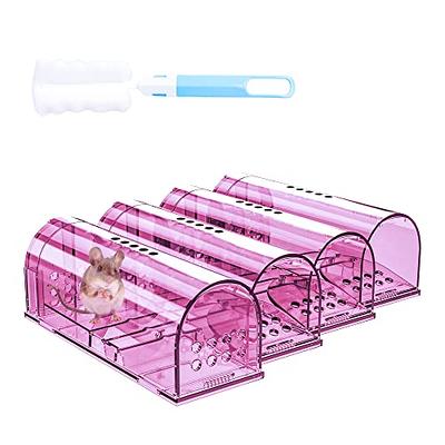 4 Pcs Humane Mouse Traps No Kill, Live Mouse Traps Indoor for Home,  Reusable Mice Small Rat Trap Catcher for House & Outdoors - Yahoo Shopping