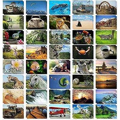 Best Paper Greetings 40 Pack Bulk Animal and Travel Postcards From Around  the World for Mailing, Assorted Nature Thank You Notes (4 x 6 In) - Yahoo  Shopping