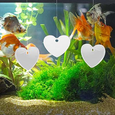 Mikikit Fish Tank Mirror 4pcs Betta Training Mirror Acrylic Fish Tank  Accessories Betta Tank Decoration - Yahoo Shopping