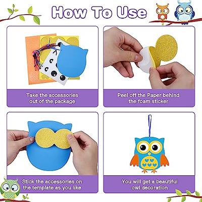 Fennoral 12 Pack Fall Craft for Kids Owl Craft Kits Make Your Own