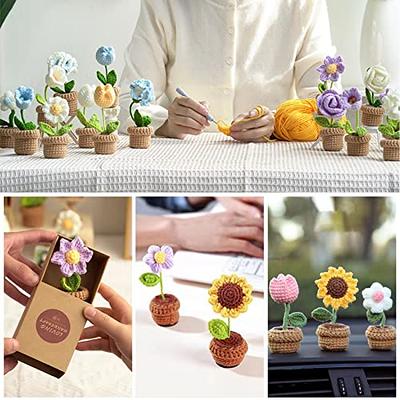 Crochet Kit for Beginners, 6 Pcs Crochet Potted Flowers Kit