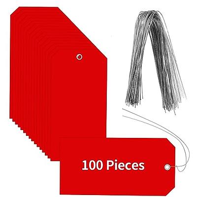 Leadseals 100pcs Blank Plastic Tags for Labeling Reusable Hanging Tags Ties Key Tags Storage Tags Waterproof Plastic Mark Label Writable Hang Sign (