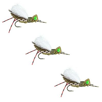 Popular Trout Flies by Colorado Fly Supply - Barr's Emerger BWO - Blue  Winged Olive Beadhead Nymph Fly Fishing Fly - Fishing Lures for Fishermen -  Trout Fly 3 Pack - Yahoo Shopping