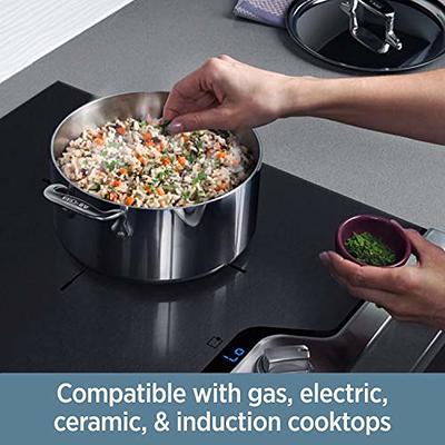 All-Clad Copper Core 5-Ply Stainless Steel Cookware Set 10 Piece Induction  Oven Broiler Safe 600F Pots and Pans Silver