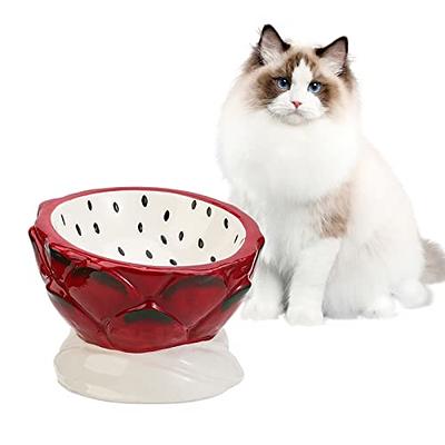 Elevated Cat Bowls, Bowls With Stand, Raised Cat Food Kitten Bowl, Ceramic  Best - Yahoo Shopping