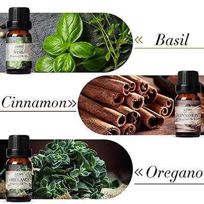 Salubrito Spice Fragrance Oils, Essential Oils for Diffuser, Candle & Soap  Making Scents, Spice Aromatherapy Oil Gift Set, Cinnamon, Oregano, Ginger,  Basil, Cardamom, Fennel (Spice) - Yahoo Shopping