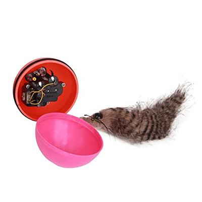 Retractable Fishing Pole Teaser Interactive Kitten ing Toy, Chase