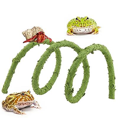 Terrarium Ornament Rainforest Diorama Supplies Artificial