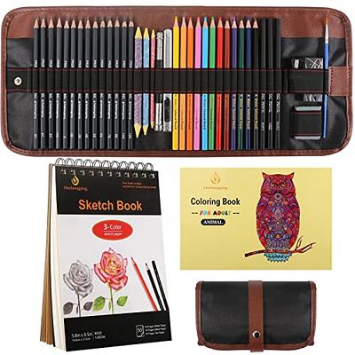 100-Pack Art Supplies for Adults Teens Kids Beginners, Artist Drawing  Supplies Sketching Kit, Drawing Pencils Set with Gift Business Case,  Diverse Art