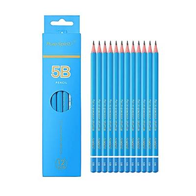 Heldig 12 Pieces Professional Drawing Sketching Pencil Set - Art Drawing  Graphite Pencils(8B - 2H), Ideal for Drawing Art, Sketching, Shading, Artist  Pencils for Beginners & Pro ArtistsB 