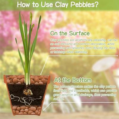 ZeeDix 8LBS Expanded Clay Pebbles for Plants, 4mm-16mm Leca Balls for  Indoor Plants, Orchid Grow Medium Clay Balls, Natural Organic Clay Pebbles  for