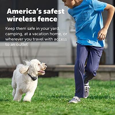  PetSafe Stay & Play Wireless Pet Fence for Stubborn Dogs - No  Wire Circular Boundary, Secure 3/4-Acre Yard, For Dogs 5lbs+, America's  Safest Wireless Fence From Parent Company INVISIBLE FENCE