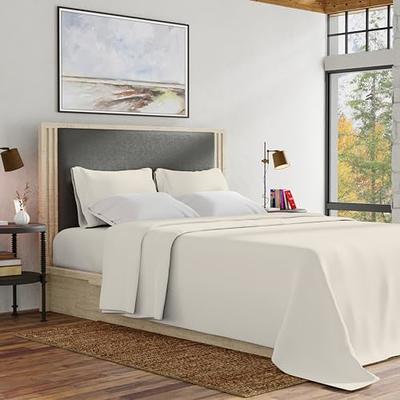 Queen 400 Thread Count Wrinkle Free Cotton Sheet Set Ivory - Purity Home :  Target