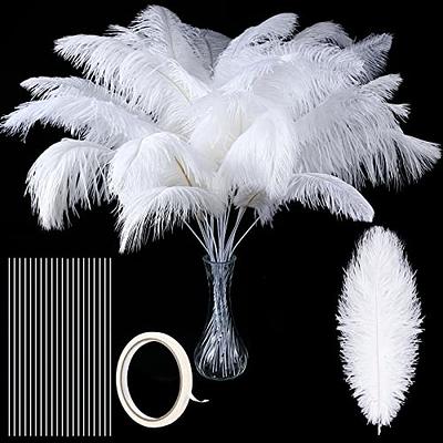 White Large Feathers for Vase and Centerpieces: 24 Pcs 10-12